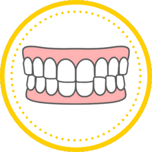 噛み合わせのズレ